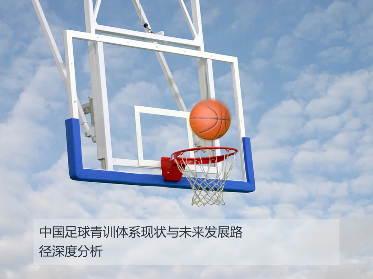 中国足球青训体系现状与未来发展路径深度分析
